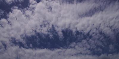 Zeitraffer von Cirrocumuluswolken, die sich in 4k der Kamera nähern video