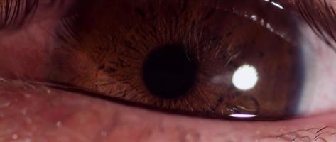 Close up of human eye with brown iris changing size of the pupil and blinking three times in 4K video