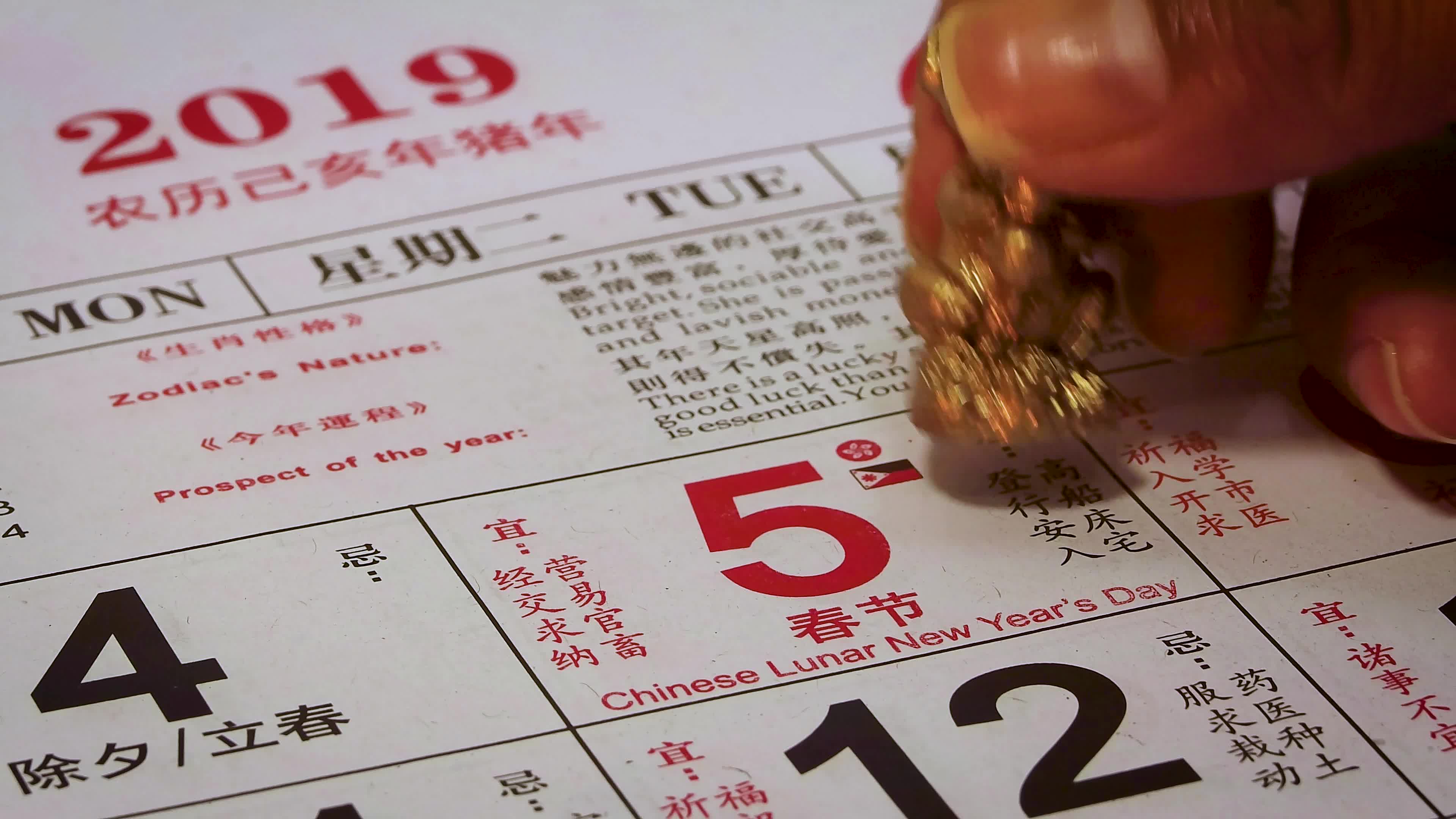 2019 chinese new year 12s