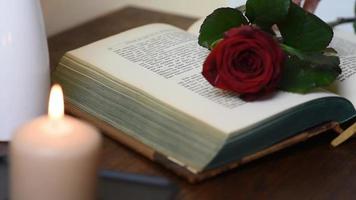 close up picking up a red rose from table with book and candles video