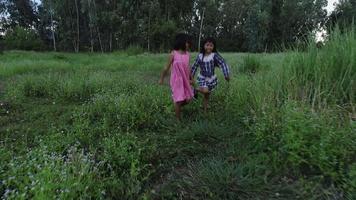 twee kleine meisjes rennen door het park video