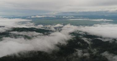 Aerial view wide shot point of view mountain with lush trees and foggy clouds video