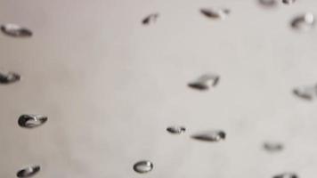 close-up de bolhas ovais de aquário flutuando rapidamente com caminho ondulado em fundo cinza em 4k video