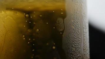 la birra si sta versando nel bicchiere con la schiuma che scorre lungo il lato del bicchiere di birra video