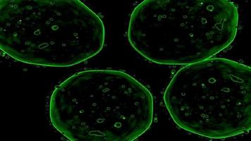 La materia celular orgánica microscópica se transforma en una pantalla negra video
