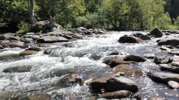 Water Rapids in a Creek video