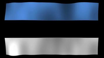 Estonia Flag 4K Motion Loop Stock Video