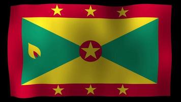 grenada flag 4k motion loop archivi video