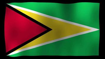 vídeo de stock de bucle de movimiento 4k de bandera de Guyana video