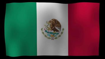 mexico vlag 4k motion loop stock video