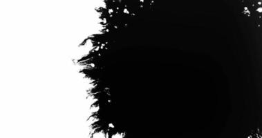 sjabloon van zwarte inkt uitbreidt van rechts op witte achtergrond in 4k video