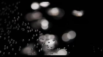 Static focused bubbles in foreground and blurred bubbles in background on dark background in 4K video