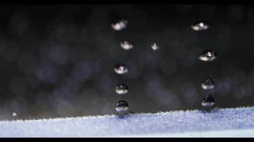 close up de pequenas bolhas emergindo do chão de um aquário com fundo escuro desfocado em 4k video