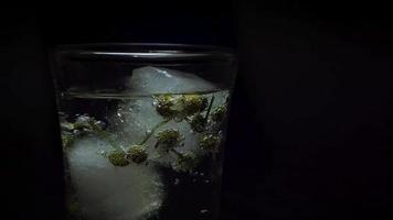 Placing An Ice With Chamomile Flowers In Mineral Water video