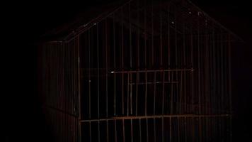 Cage à oiseaux effrayante tournant lentement dans l'obscurité video
