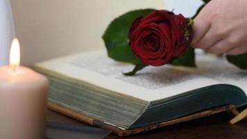 Cerrar recogiendo una rosa roja de la mesa con libro y velas video