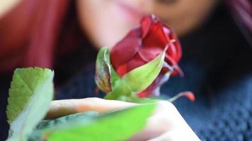 Valentinstag Geschenk. junges Mädchen, das auf einer roten Rose riecht video