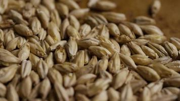 Rotating shot of barley and other beer brewing ingredients - BEER BREWING 126 video
