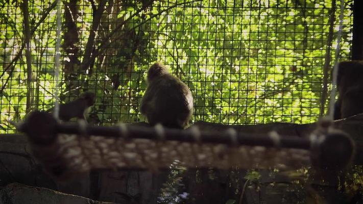 動物園影片