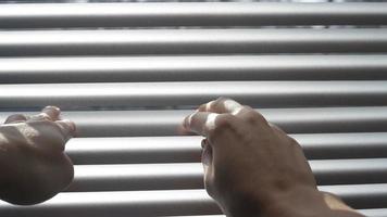 doigts caucasiens ouvrant la fenêtre aveugle pour regarder à l'extérieur. regardant à travers la fenêtre blanche aveugle pour voir à l'extérieur. petits panneaux blancs video