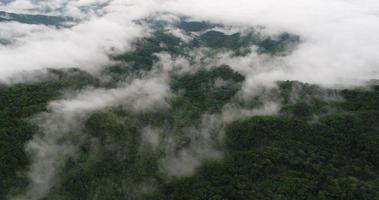 Vista aérea de vista panorámica de la montaña con frondosos árboles y nubes de niebla