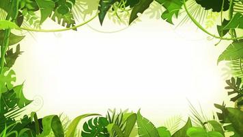 Jungle Tropical Landscape Animation Background Loop video