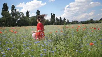 freie glückliche Frau in einem roten Kleid, das Natur genießt video