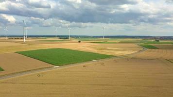 turbinas de viento en campos de maíz video
