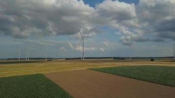 Windkraftanlagen in Maisfeldern video