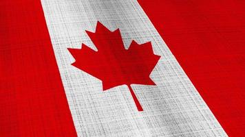 Closeup of Canada flag blowing in the wind texture  video