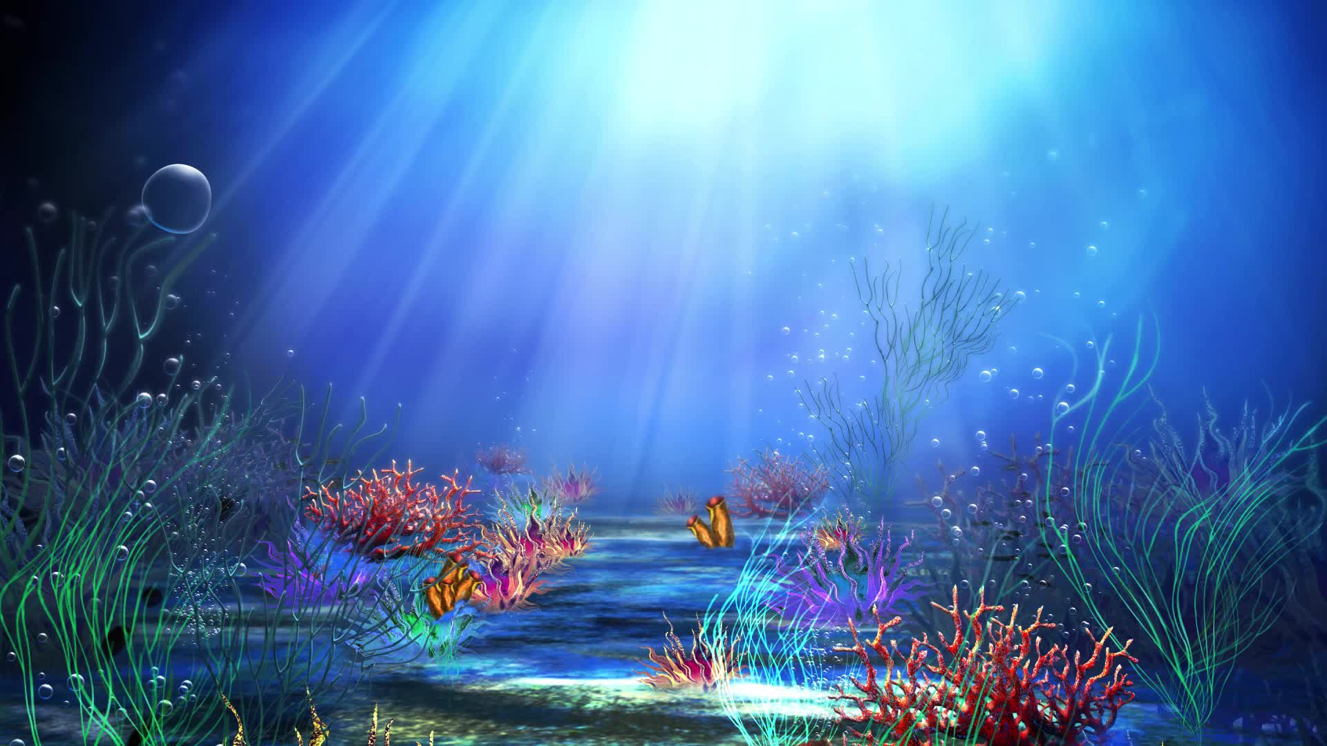 Explore the Beauty of Ocean with Under the Sea Background Video For Your Project