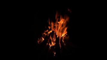 houten brandend vuur video