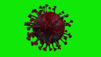 Realistic 3D Coronavirus 2019-nCov novel coronavirus on Green screen background video