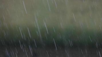 gocce di pioggia che cadono video