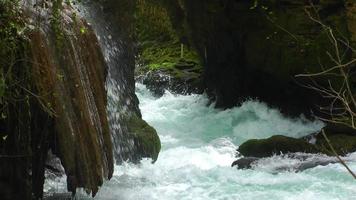 vattenfall i grön vild natur video