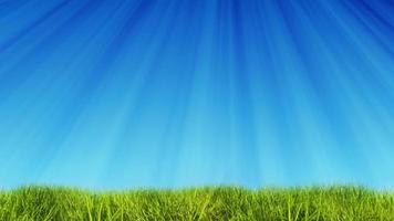 lazo de hierba verde y cielo azul