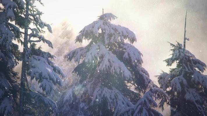 下雪影片