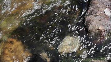 Water Flows Around Rock in a Creek video