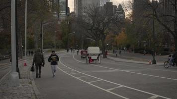Jogger in Central Park video