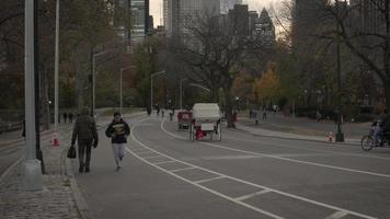 jogger dans central park video