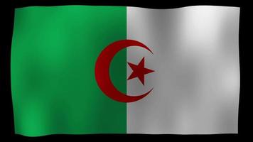 vlag van algerije 4k motion loop stock video