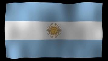 video estoque 4k da bandeira da argentina