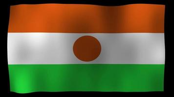 niger vlag 4k motion loop stock video