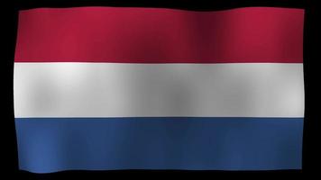 vidéo de stock de boucle de mouvement 4k drapeau néerlandais video