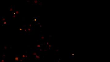 brasas de fogo laranja dançando e criando redemoinhos na escuridão em 4k video