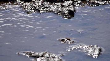 Close up of little creek with clear water moving slowly in 4K video