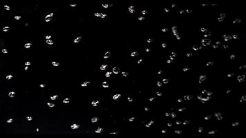 mörkt akvarium med bubblor som flyter med böljande stig i 4k video