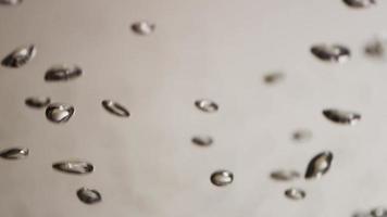 Close up of oval aquarium bubbles floating fast on gray background in 4K video