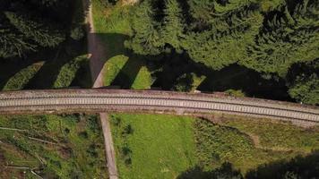 drone che sale sopra un viadotto in una foresta video