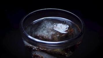 Placing Frozen Raisins In Ice video